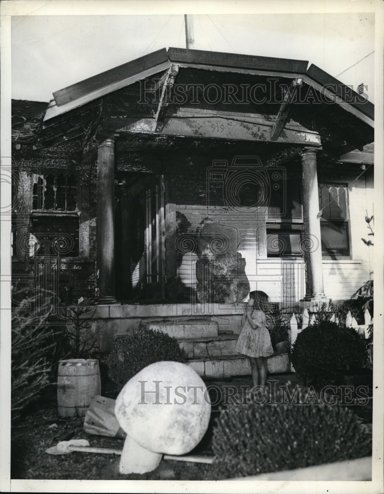 1933 Press Photo George Skinner's house after afire destroyed it