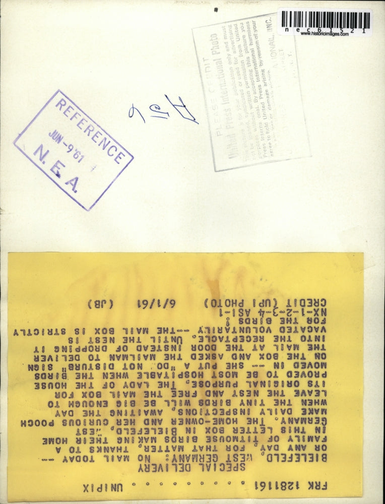 1961 Press Photo West Germany, mailbox-nest for Titmouse birds - nec61521