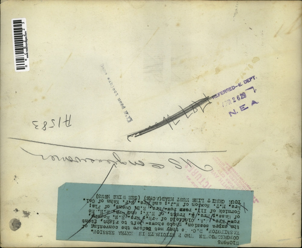 1929 Press Photo U.S. Congresswomen, Mrs. W Oldfield, E Rogers, Washington