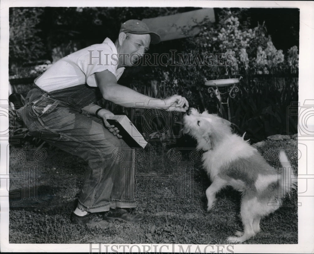 1956 Press Photo C. C. Chambers, meter reader, offers food to barking dog
