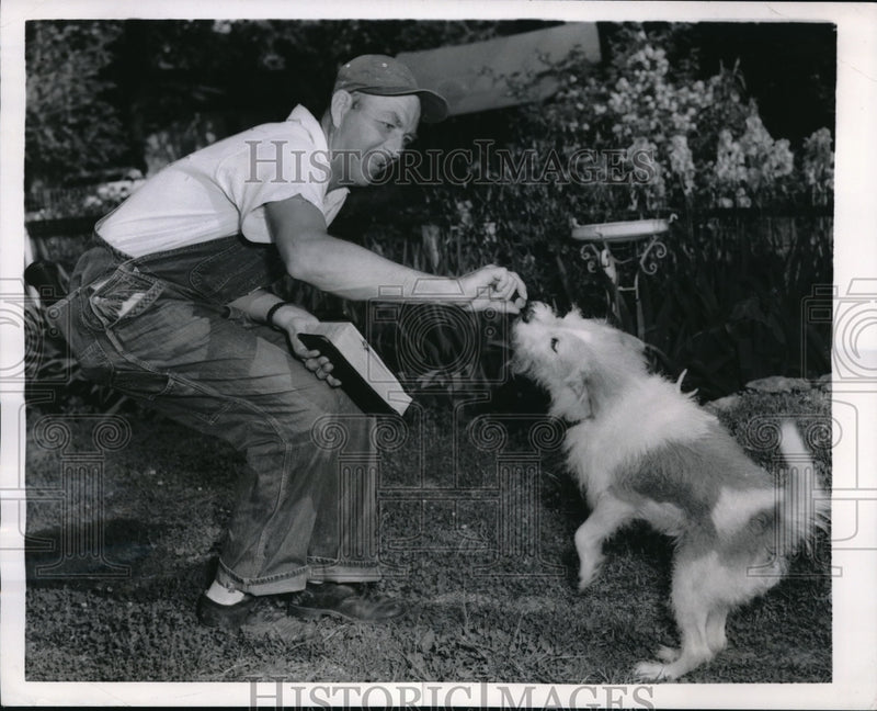 Load image into Gallery viewer, 1956 Press Photo C. C. Chambers, meter reader, offers food to barking dog
