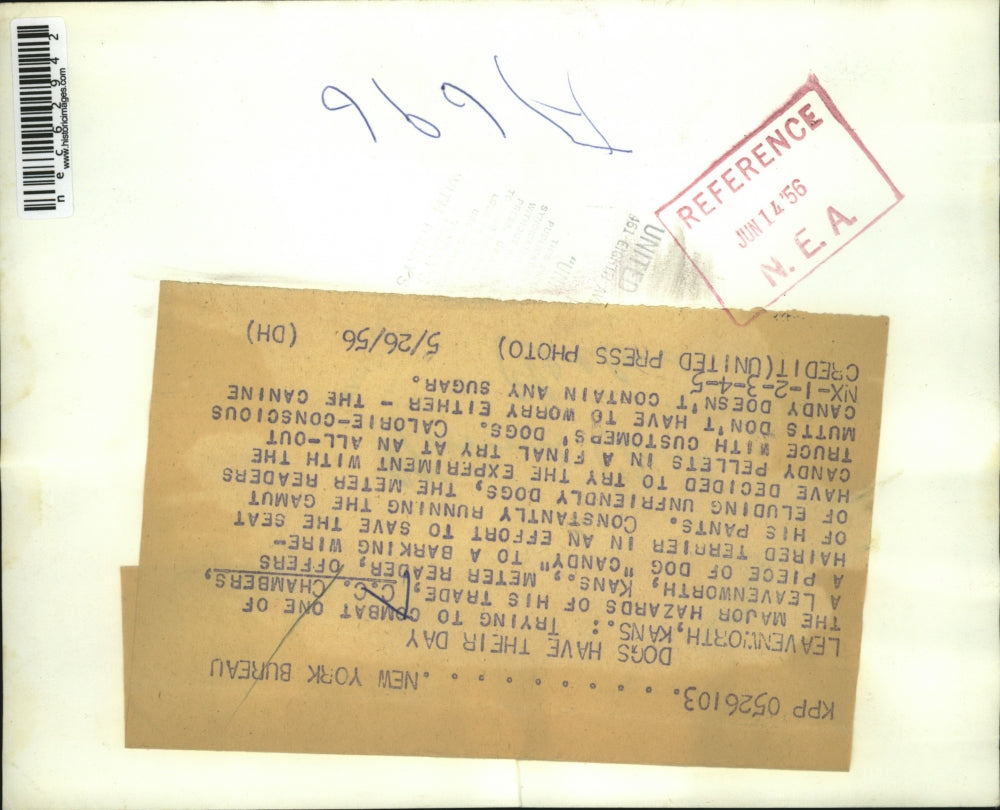 1956 Press Photo C. C. Chambers, meter reader, offers food to barking dog