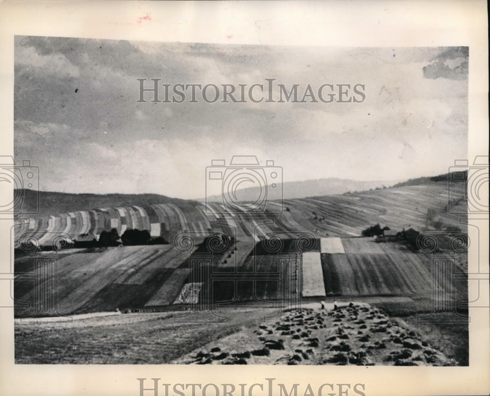 1948 Press Photo Small narrow plots of land in Poland