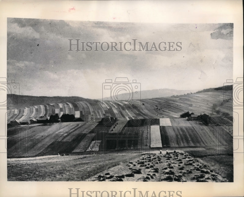 Load image into Gallery viewer, 1948 Press Photo Small narrow plots of land in Poland
