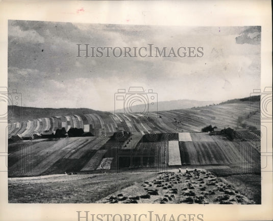 1948 Press Photo Small narrow plots of land in Poland
