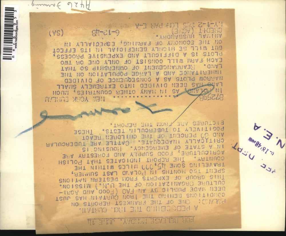 1948 Press Photo Small narrow plots of land in Poland