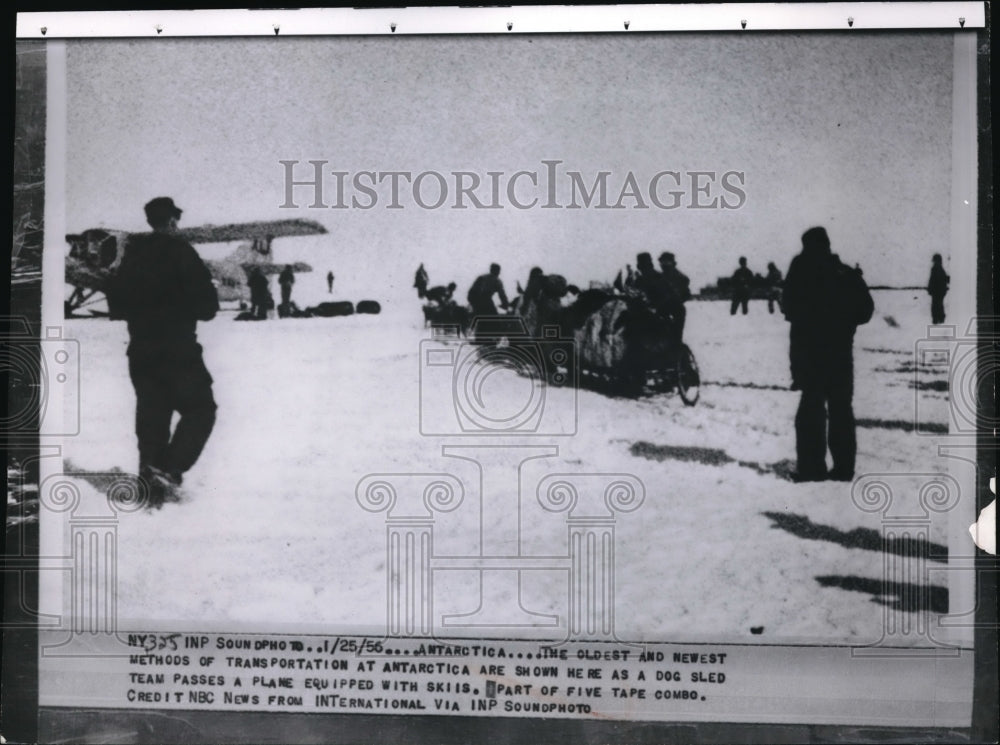 1956 Press Photo Dog sled team in Antarctica - nec64151