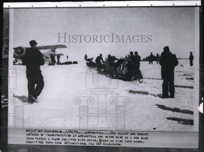 Load image into Gallery viewer, 1956 Press Photo Dog sled team in Antarctica - nec64151

