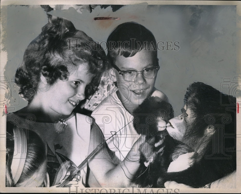 1963 Press Photo Orangutan Gi-Gi Kisses Stuffed Monkey Thru Glass Cleveland Zoo