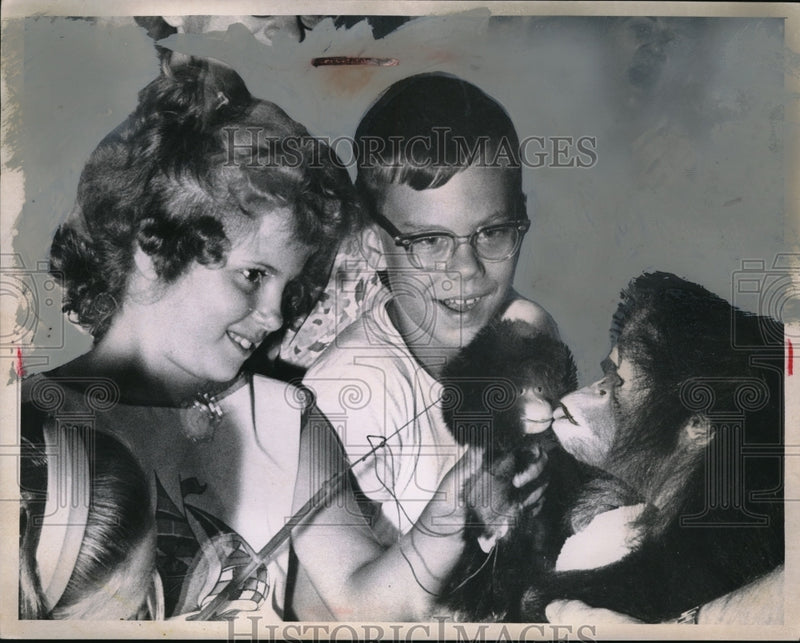 Load image into Gallery viewer, 1963 Press Photo Orangutan Gi-Gi Kisses Stuffed Monkey Thru Glass Cleveland Zoo
