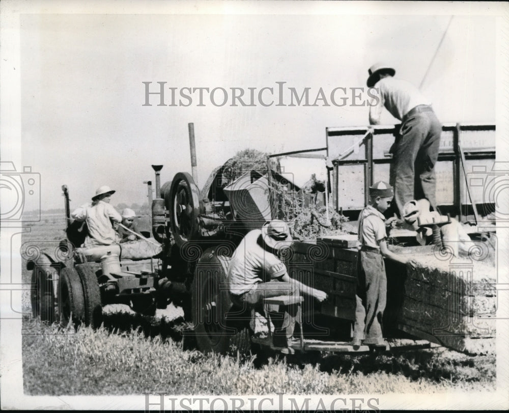 1944 Press Photo Howard Austen family baling hay in California to help war`