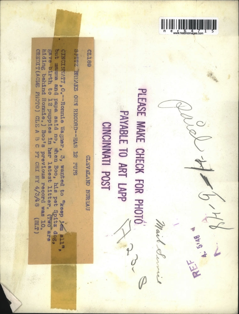 1948 Press Photo Ronnie Wagner's Spitz Dog has 12 Puppies in Cincinnati