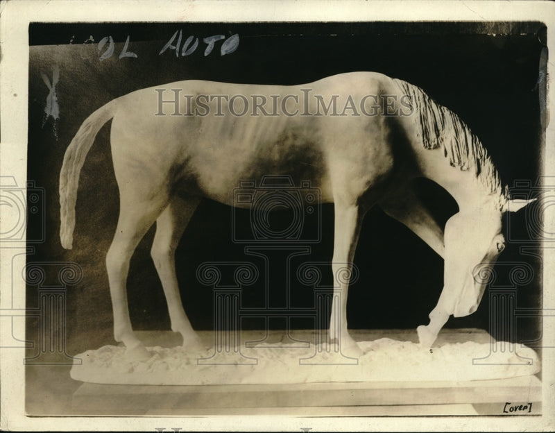 Load image into Gallery viewer, 1920 Press Photo A Pleistocene period, the one preceding ours - nec65450
