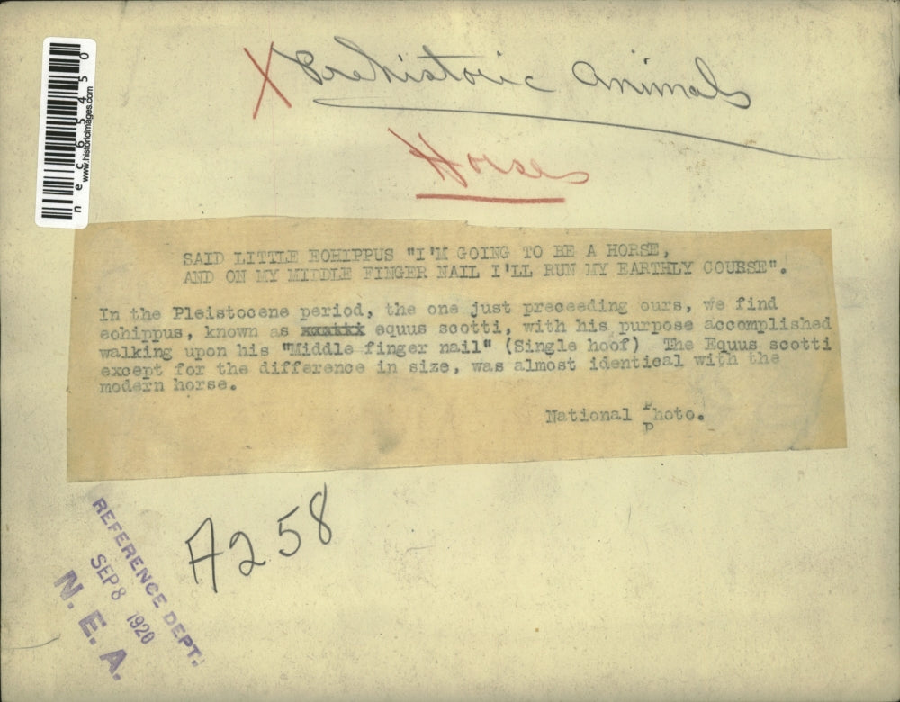 1920 Press Photo A Pleistocene period, the one preceding ours - nec65450