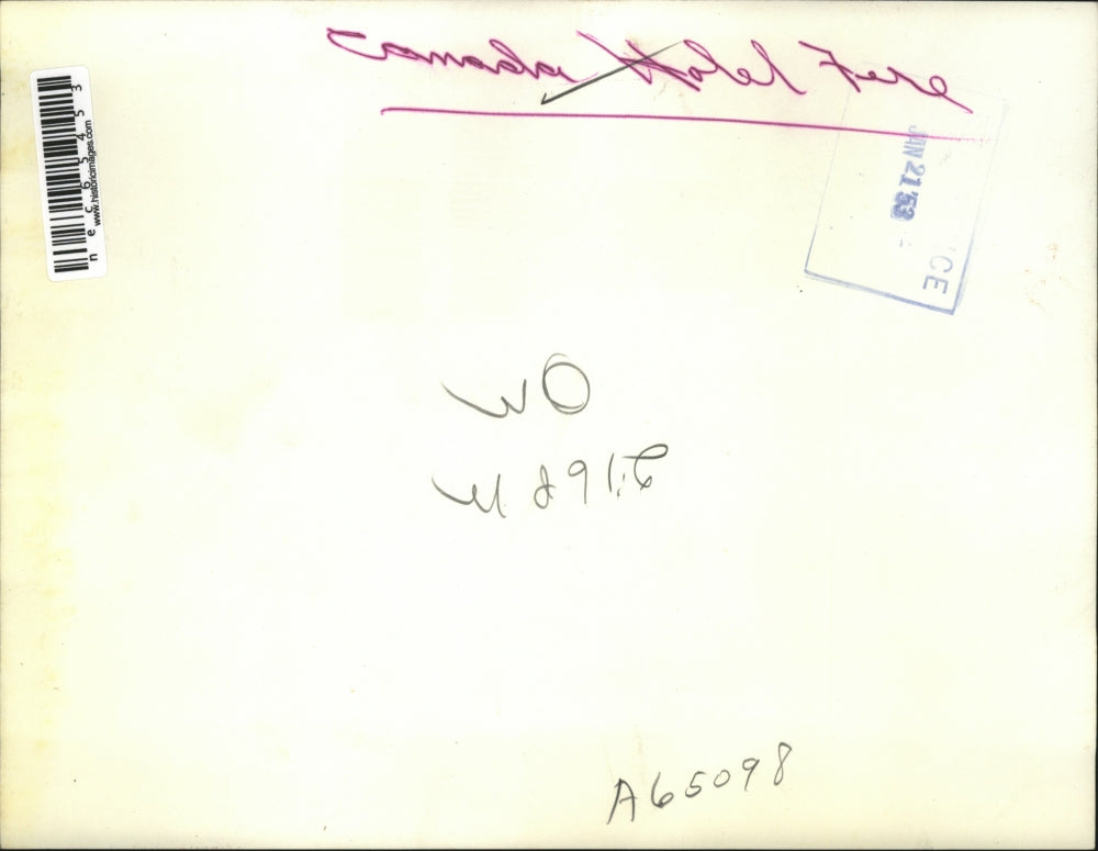 Cystal Beach Ont1953 Press Photo General view of $75000 32 room blaze at the