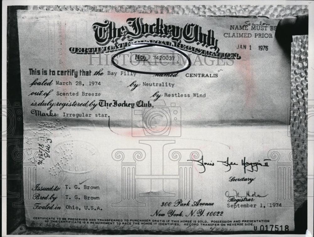 1976 Press Photo Foal Certificate Of Centris Scented Breeze