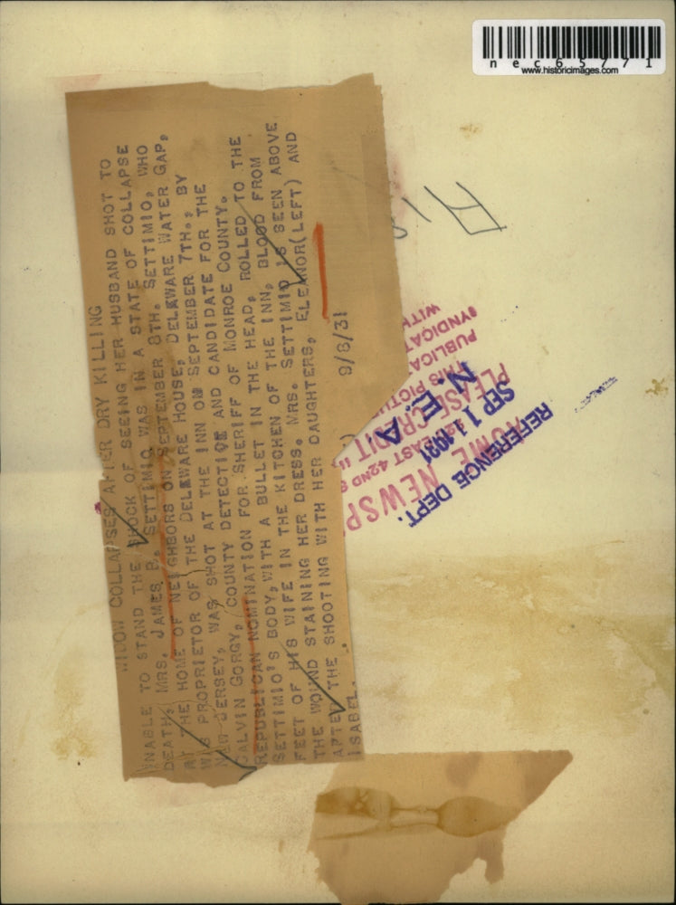 1931 Press Photo James B Settimic widow shock of seeing husband shot