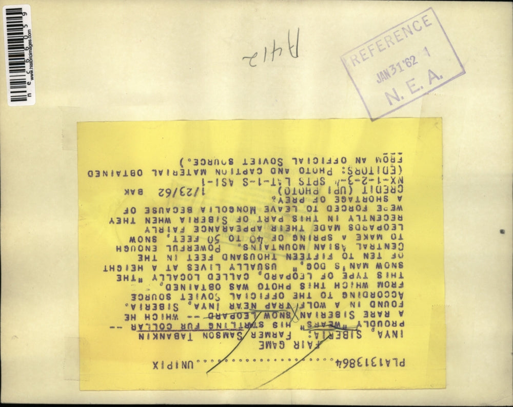 1962 Press Photo Inya, Siberia Samson Tabankin, shows his catch of the Siberian