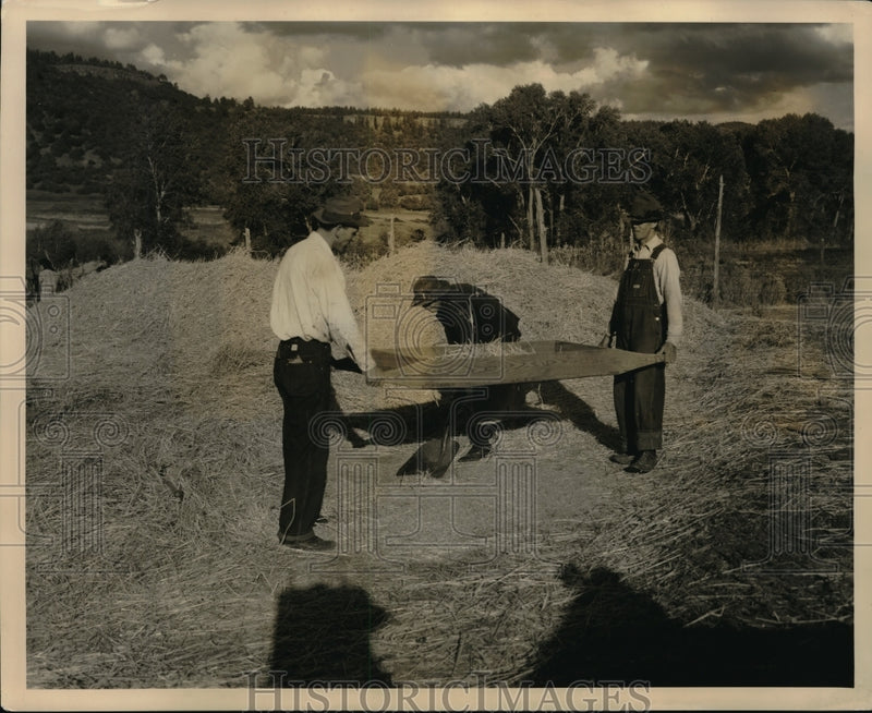 Load image into Gallery viewer, Press Photo Grain being threshed by hand on a farm - nec67169

