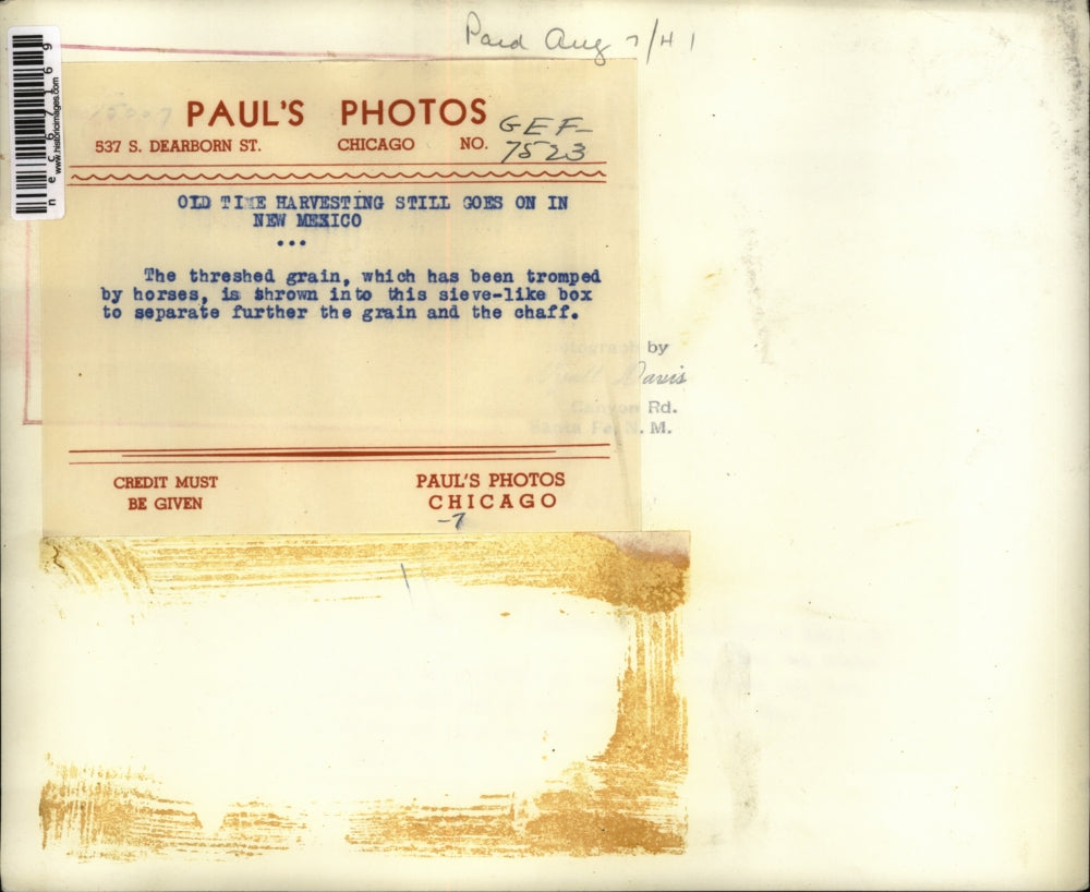 Press Photo Grain being threshed by hand on a farm - nec67169
