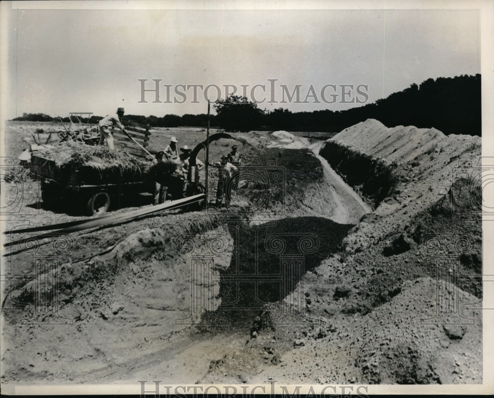 1939 Press Photo Lyle Doyle solves 735-ton silage problem through the trench