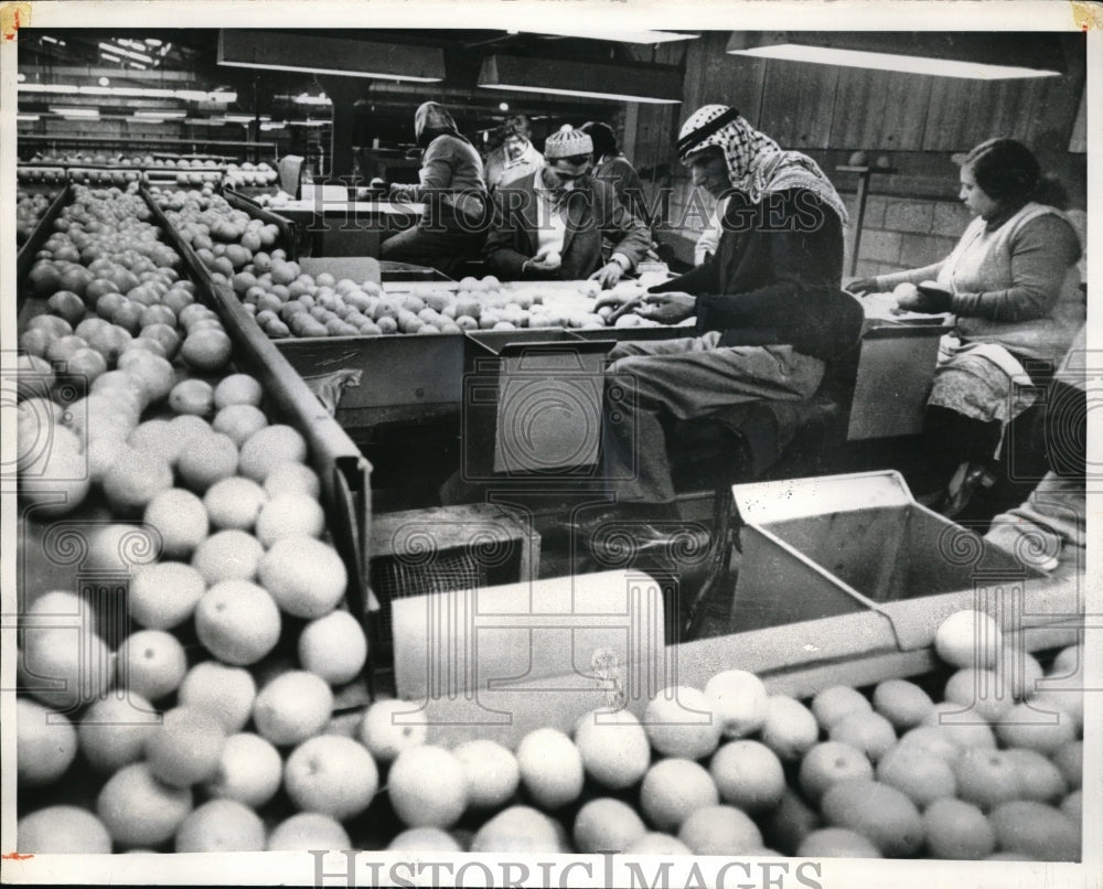 1972 Press Photo Tel Aviv Israel Arabs &amp; Jews at the markets- Historic Images