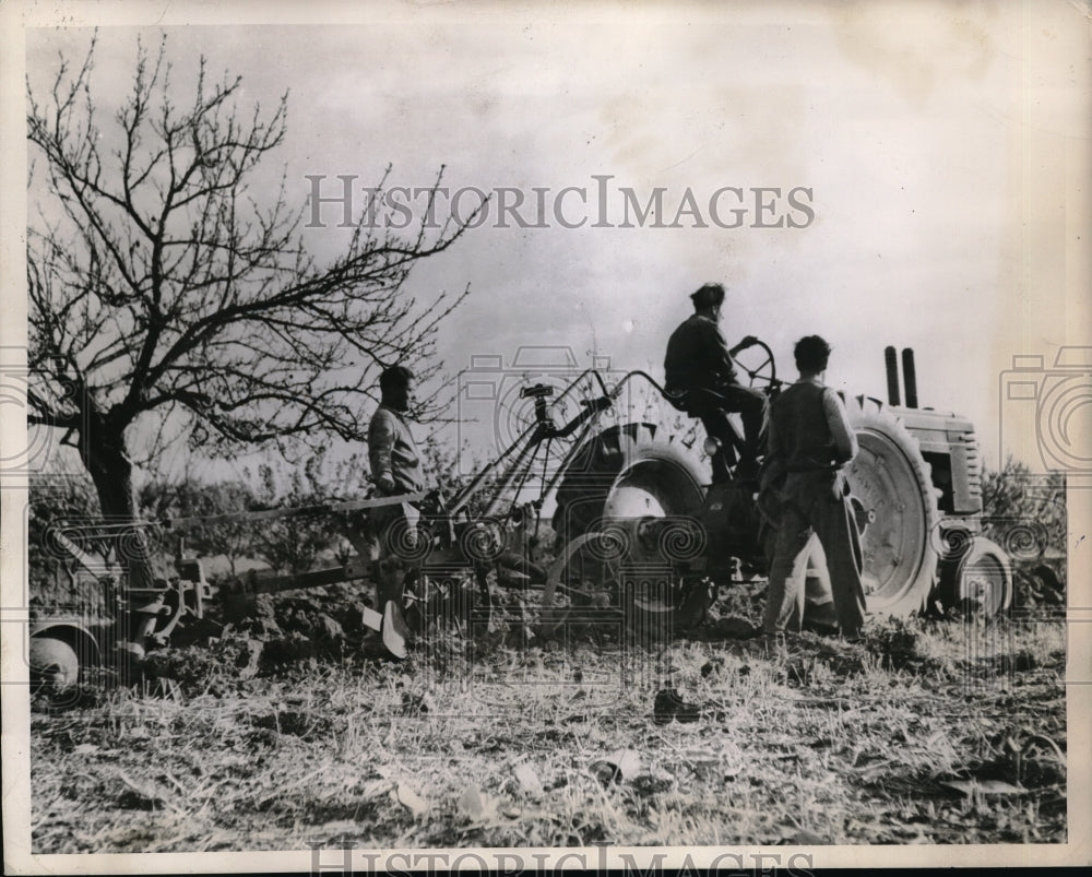 1946 Press Photo Greek farmer on tractor in his field