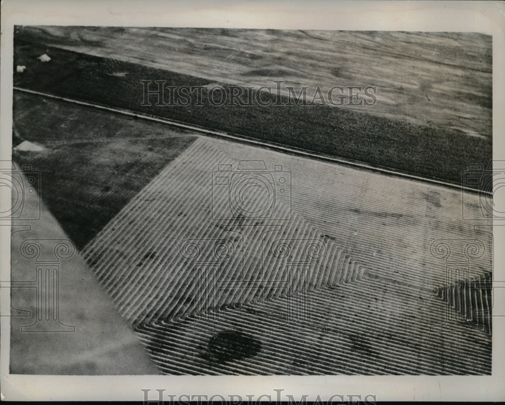 1937 Press Photo View of a Wheat field in Red River Valley Minnesota - nec68781