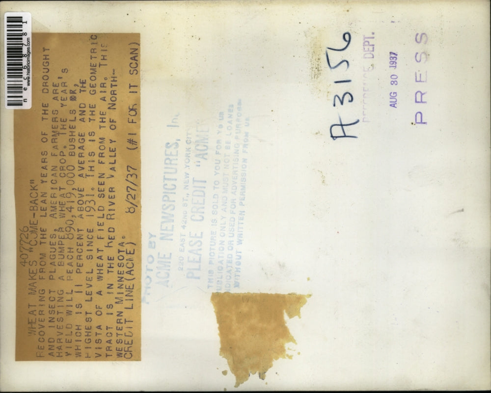 1937 Press Photo View of a Wheat field in Red River Valley Minnesota - nec68781