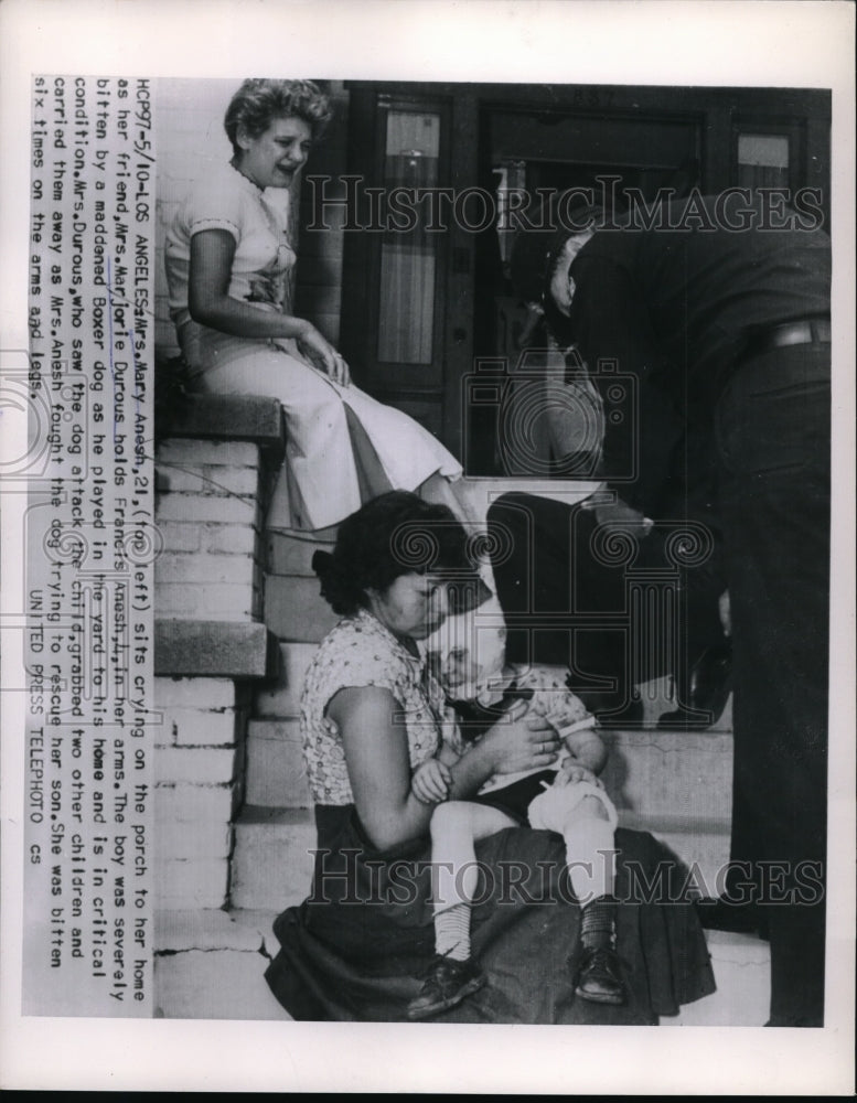Load image into Gallery viewer, 1954 Press Photo LA, CAlif Mrs Mary Anesh &amp; son bitten by a boxer dog
