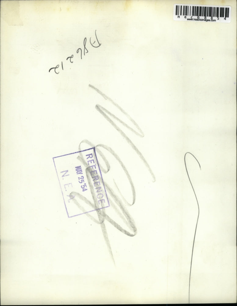 1954 Press Photo LA, CAlif Mrs Mary Anesh & son bitten by a boxer dog