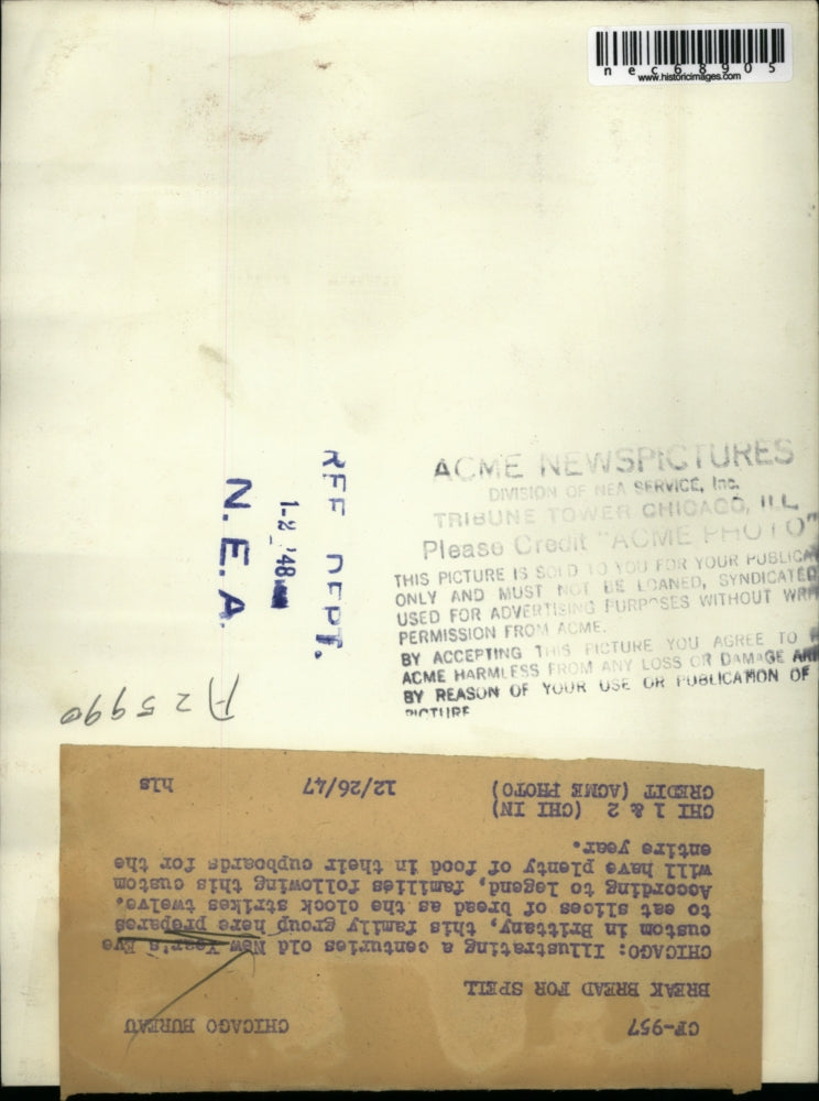 1947 Press Photo Brittany in a new years eve costume in Chicago Illinois