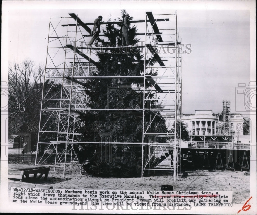 1951 Press Photo Erecting The White House Christmas Tree