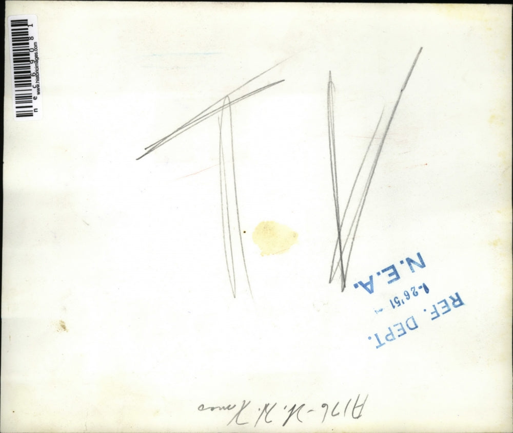 1951 Press Photo Erecting The White House Christmas Tree