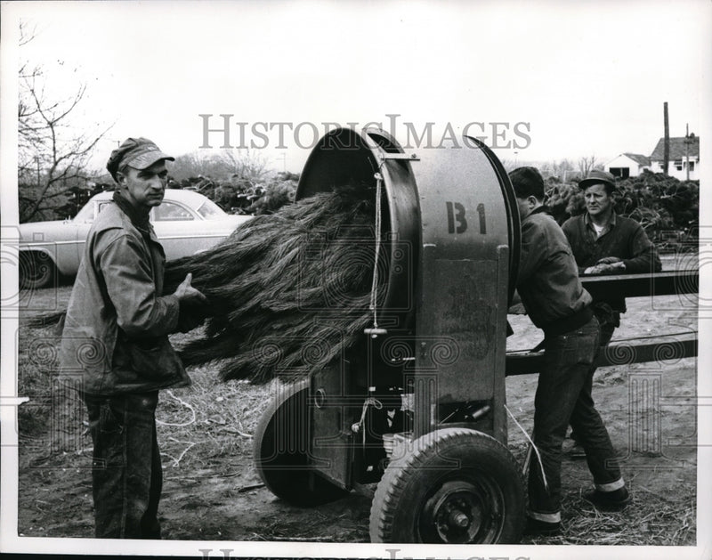 Load image into Gallery viewer, 1962 Press Photo Workers Unfold Christmas Tree Branches With Machine
