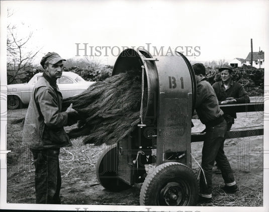 1962 Press Photo Workers Unfold Christmas Tree Branches With Machine