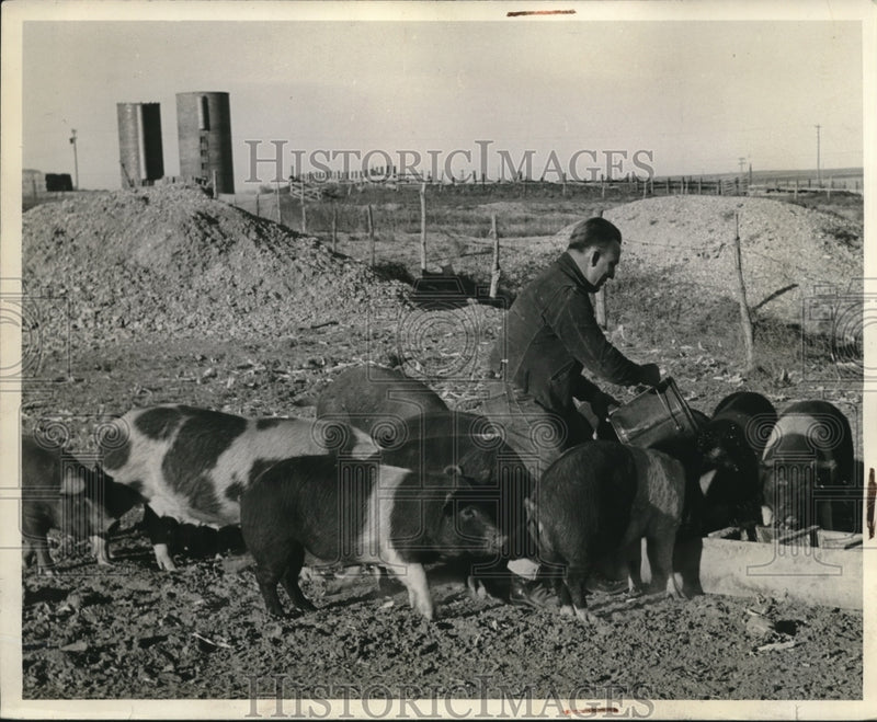 Load image into Gallery viewer, 1939 Press Photo Ev Marshall Feeding Pigs - nec69887
