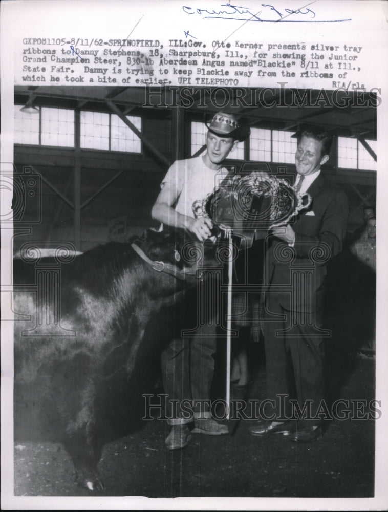 Load image into Gallery viewer, 1962 Press Photo Springfield, Ill Gov Otto Kerner &amp; Dan Stephens &amp; prize Steer
