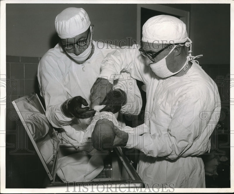 Load image into Gallery viewer, Press Photo Dr. Frank Marting &amp; Dr. Stewart Wagoner Give Infant Tranfusion
