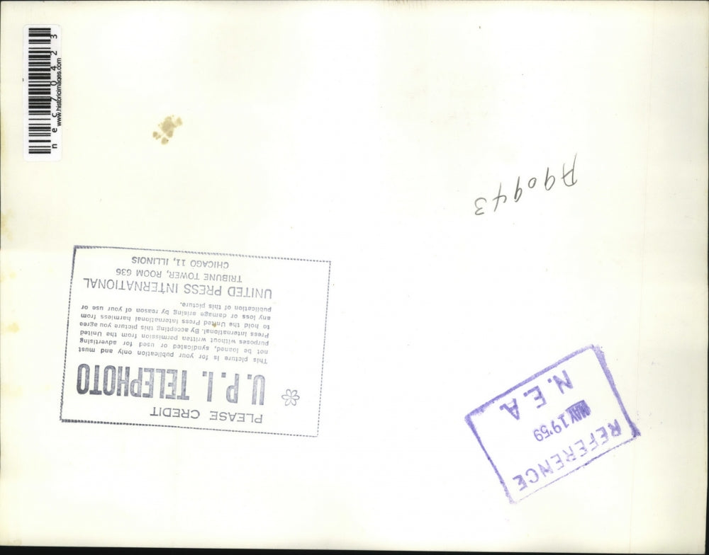 1959 Press Photo Chattanooga, TN Mrs John Sadler as family paints her home