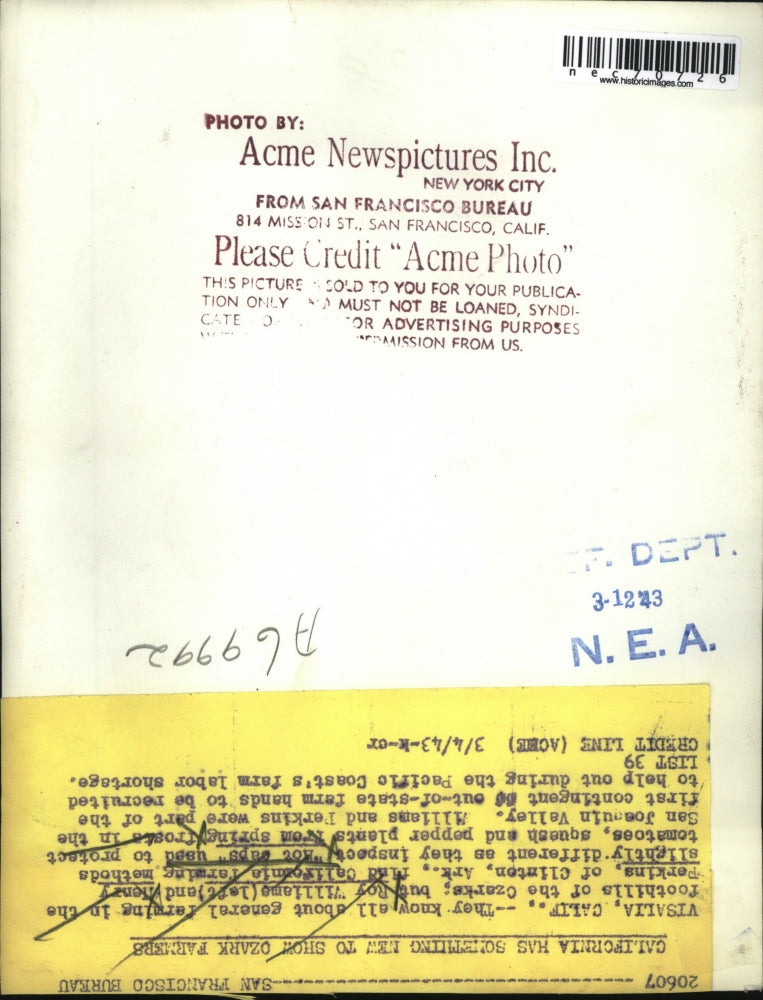 1943 Press Photo Visalia, Calif Roy Williams, H Perkins & hot caps for tomatoes