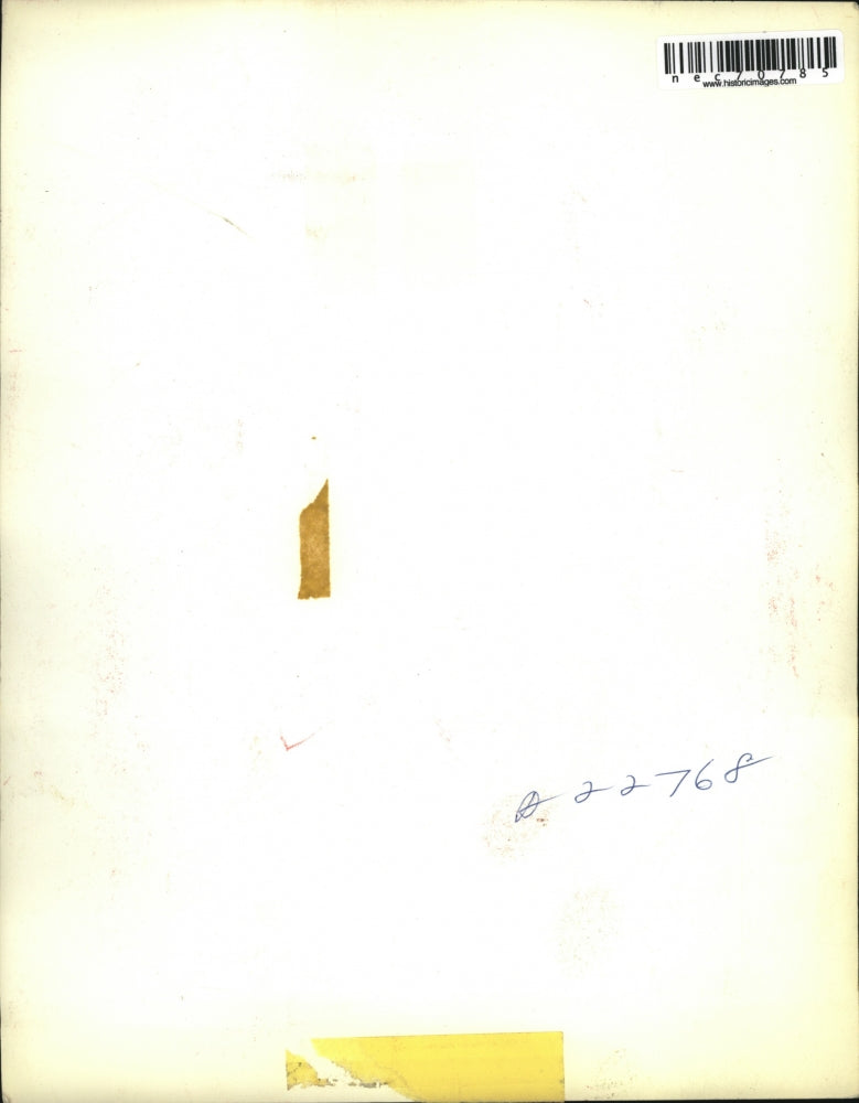 Press Photo Interior view of a homes living room furnishings