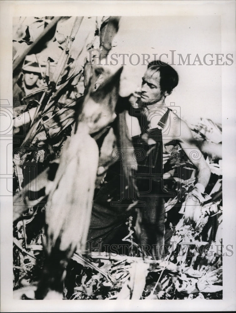 1938 Press Photo Lancaster, Pa Stanley Yeager farmer in his corn fields