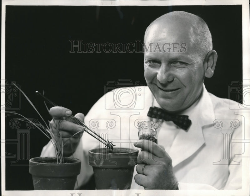 Load image into Gallery viewer, 1959 Press Photo Spencer Chemical Co. wild oat plant experiment
