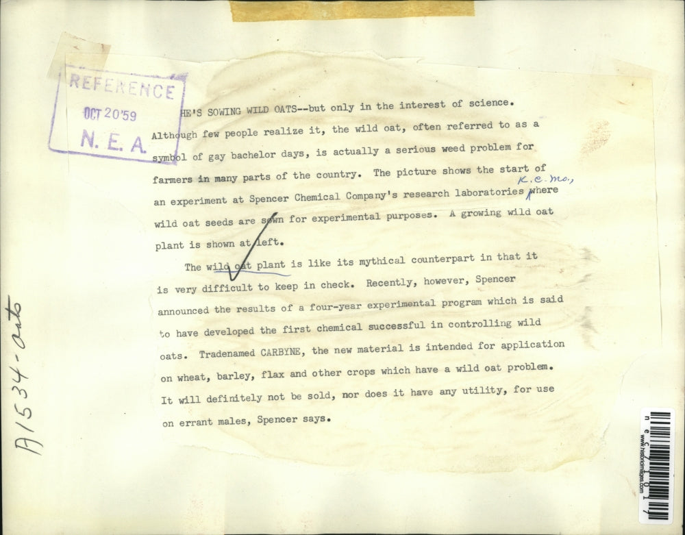 1959 Press Photo Spencer Chemical Co. wild oat plant experiment