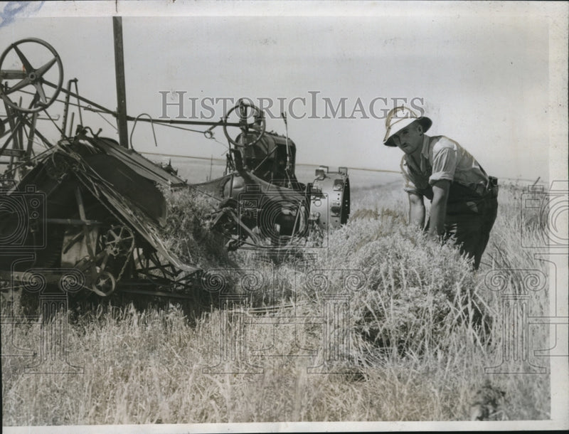 Load image into Gallery viewer, 1935 Press Photo Albert Hirsch, farmer near Pierre, SD with his binder machine
