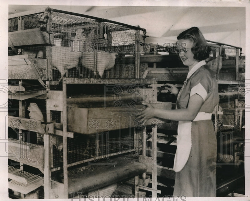 Load image into Gallery viewer, 1936 Press Photo Lillian Swenson Demonstrates How She Cleans Cages In Long Islan
