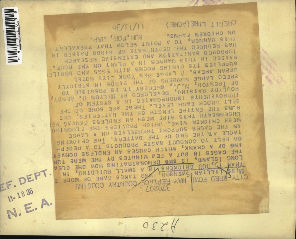 1936 Press Photo Lillian Swenson Demonstrates How She Cleans Cages In Long Islan