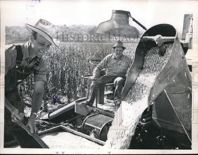 Load image into Gallery viewer, 1961 Press Photo Carl &amp; Chester Spray Jr as they load corn crop at their Ind fa
