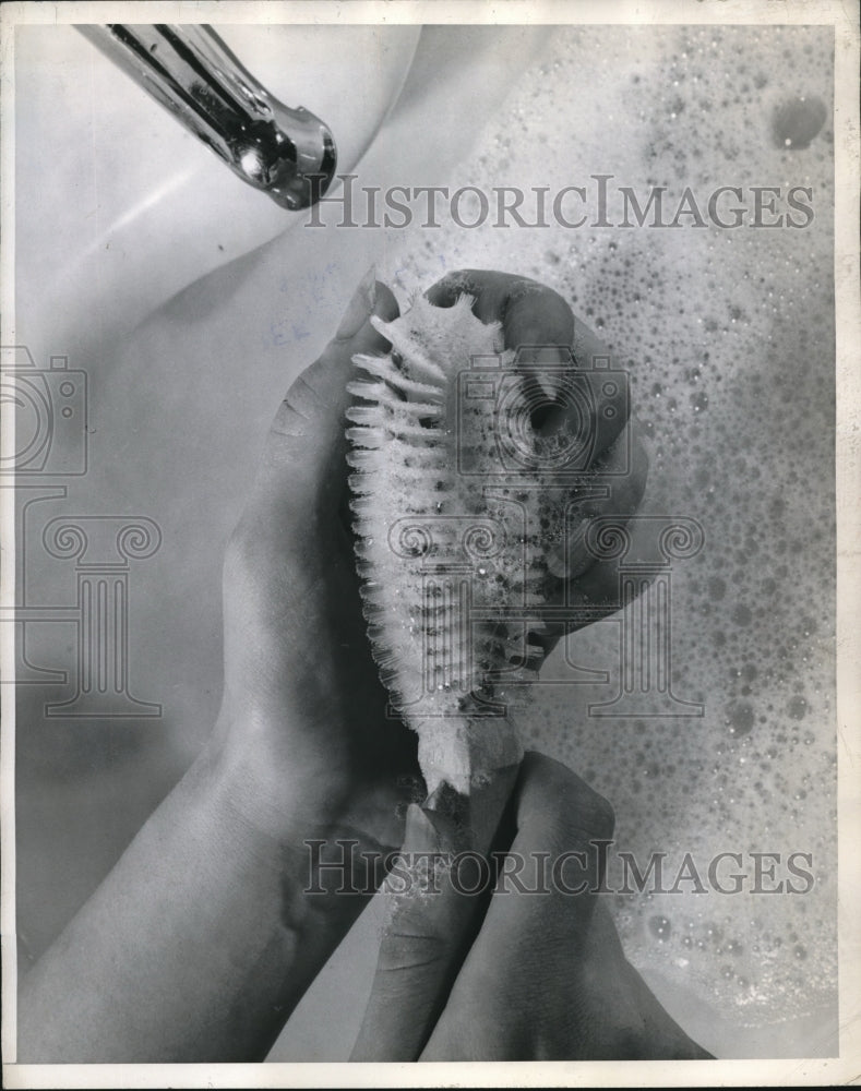1946 Press Photo durable plastic nail brush demonstrated
